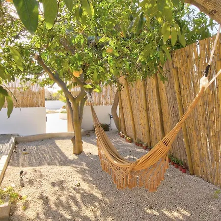 Amadeus Moncarapacho