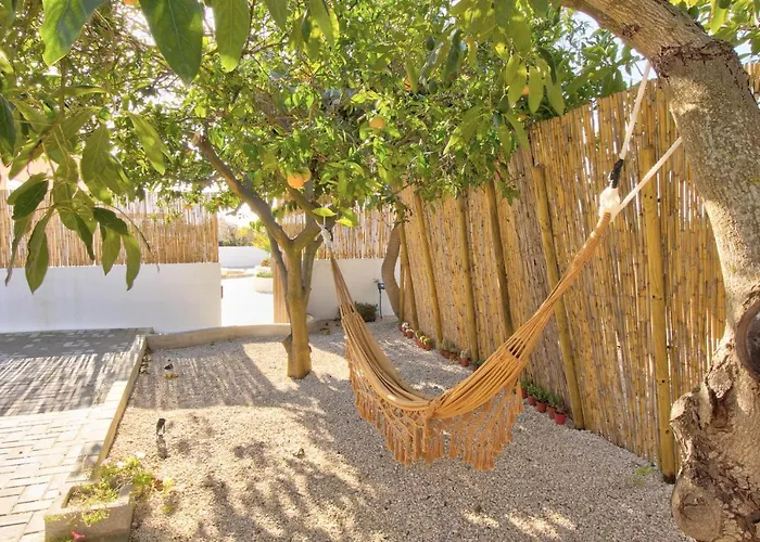 Amadeus Moncarapacho