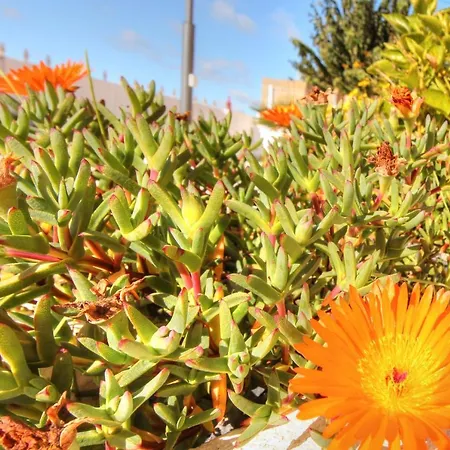 Amadeus 别墅 蒙卡拉帕乔